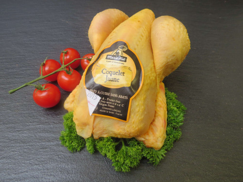 Coquelet Jaune 