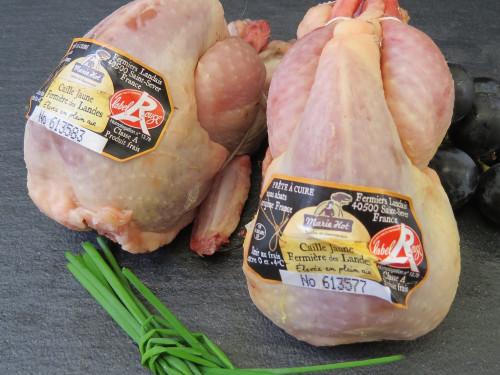 Caille des Landes Label Rouge