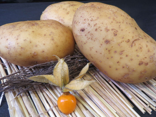 Pommes de Terre Spécial Four