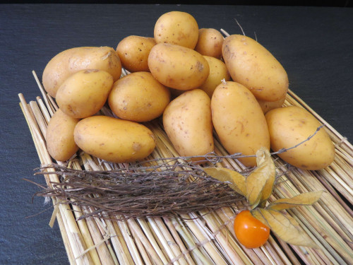 Petites Pommes de Terre Grenailles