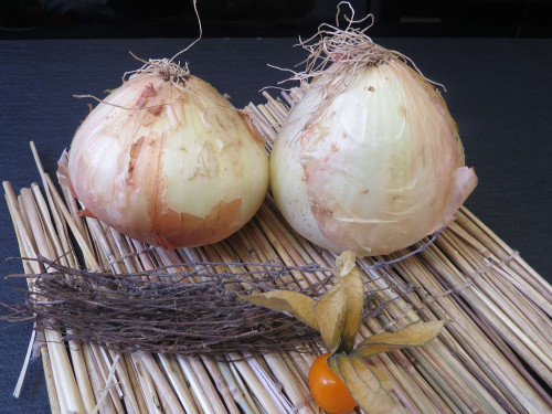 Oignons