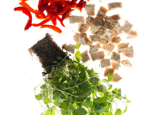 Composez votre pizza, à partir de 5,90 €